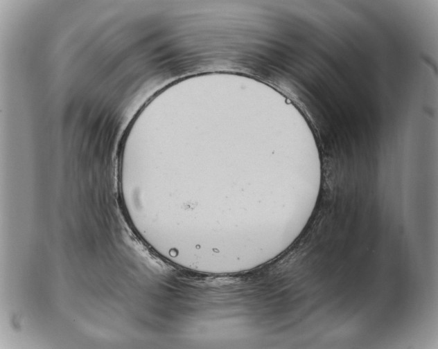 X0000102761140200809021002