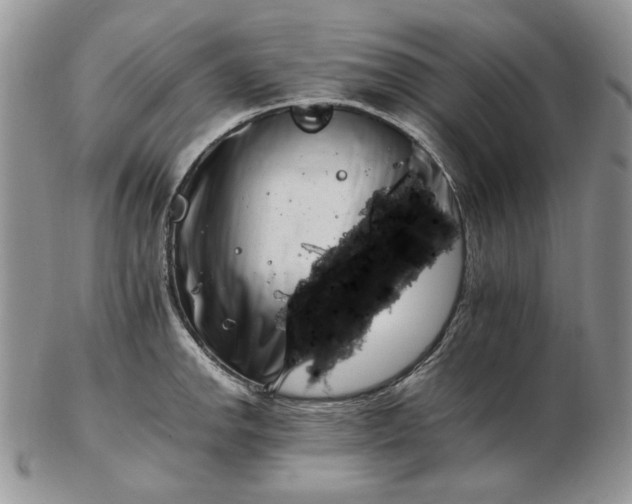 X0000102761142200809021002