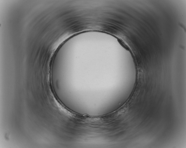 X0000102761143200809021002