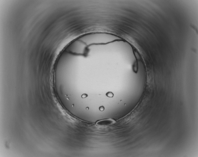 X0000102761144200809021002