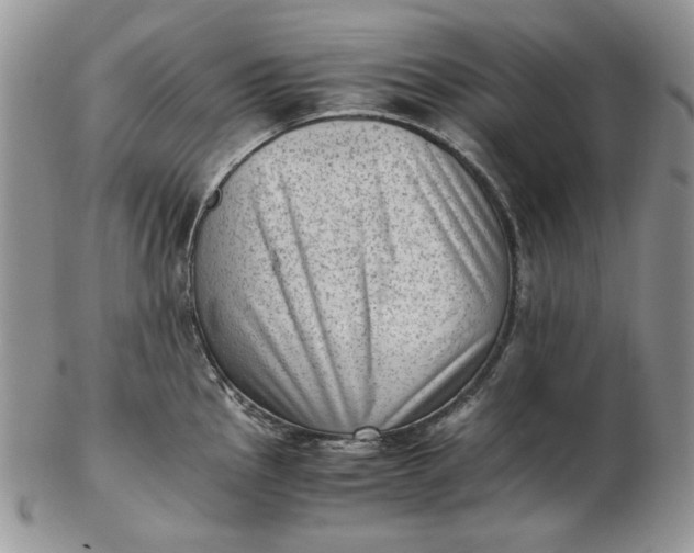 X0000102761145200809021002