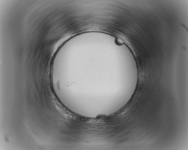 X0000102761146200809021002