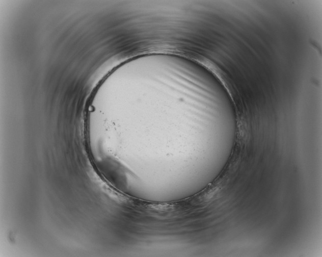 X0000102761147200809021002