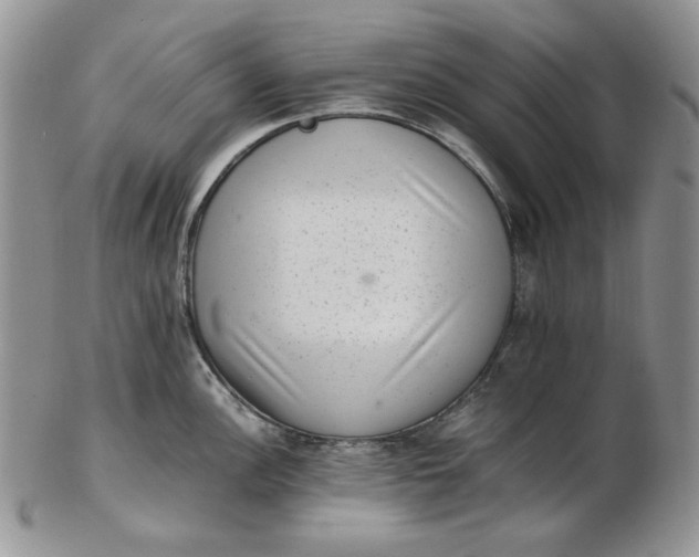 X0000102761148200809021002