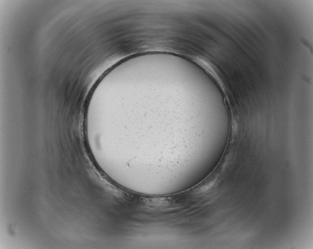 X0000102761149200809021002