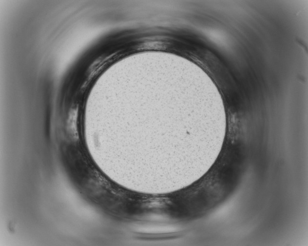 X0000102761150200809021002