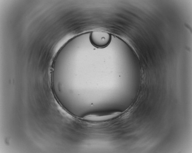 X0000102761151200809021002