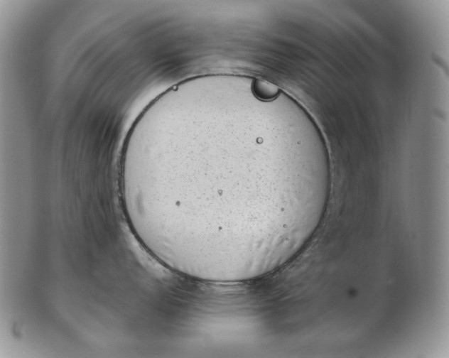 X0000102761152200809021002