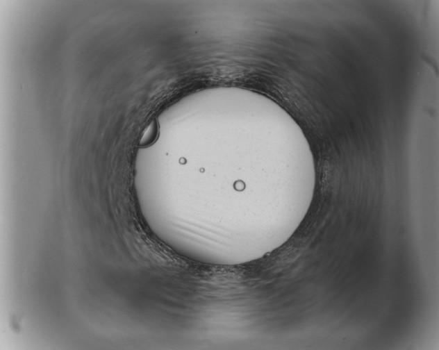 X0000102761153200809021001