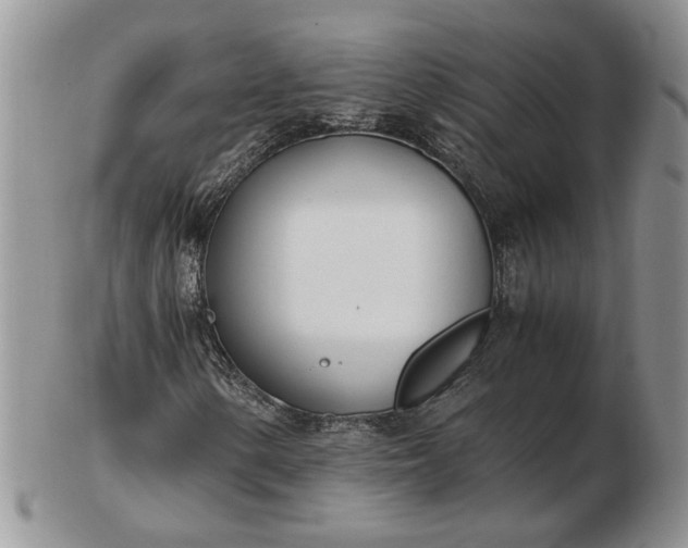 X0000102761154200809021001