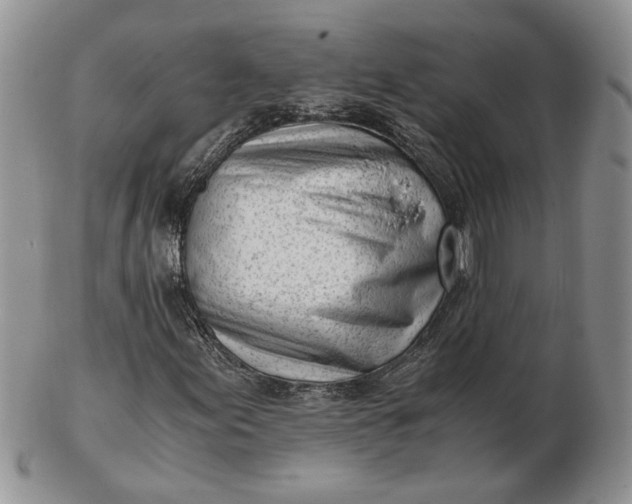 X0000102761155200809021001