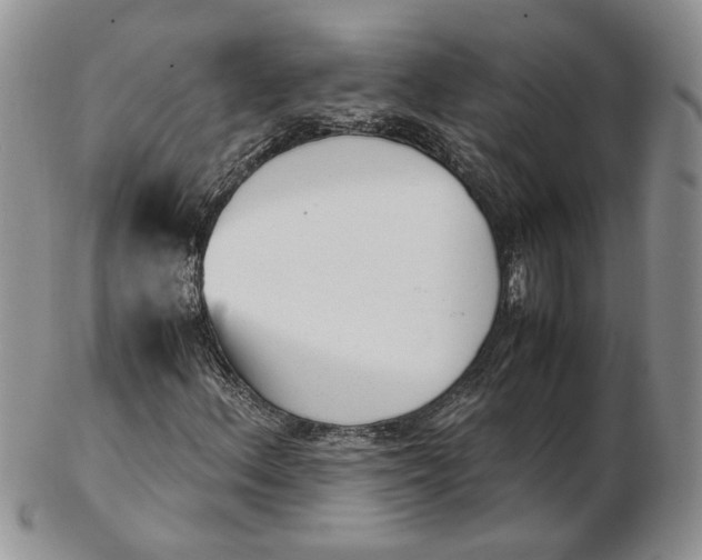 X0000102761156200809021001