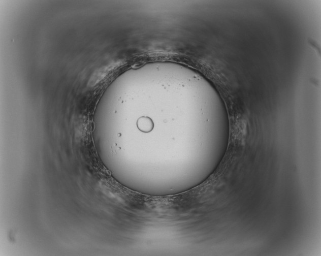 X0000102761157200809021001