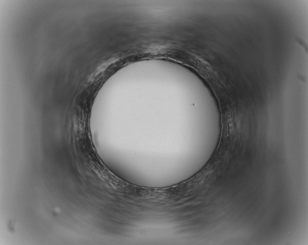 X0000102761158200809021001