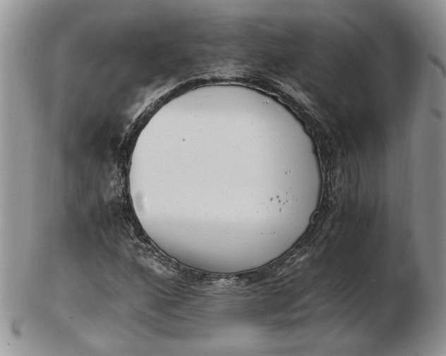 X0000102761160200809021001