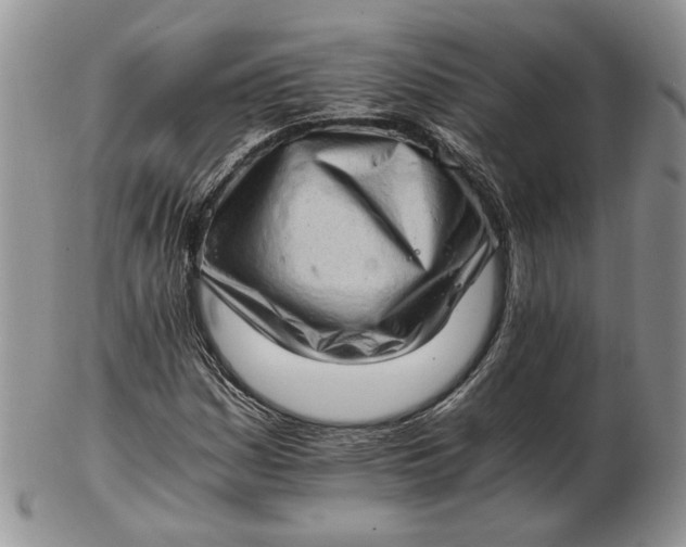 X0000102761161200809021001