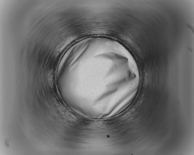 X0000102761162200809021001