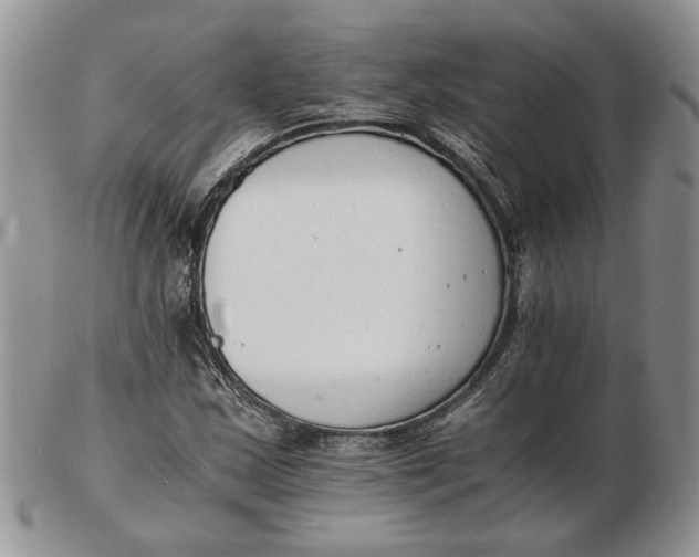 X0000102761163200809021001