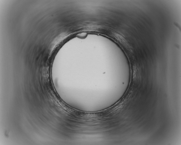 X0000102761164200809021001