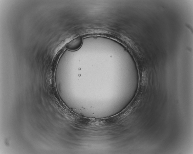 X0000102761165200809021001