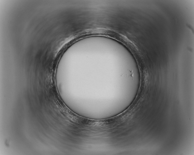 X0000102761166200809021001