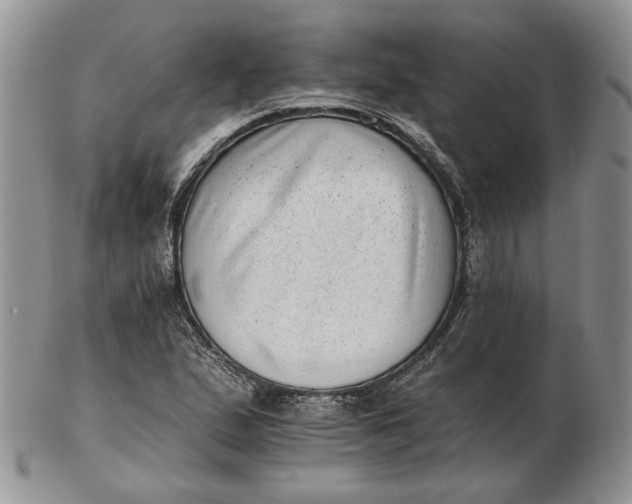 X0000102761167200809021001