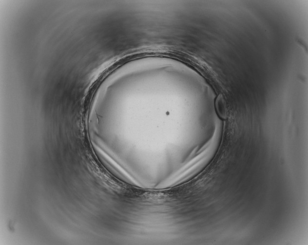 X0000102761168200809021001