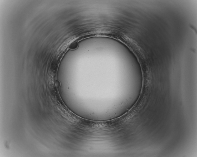 X0000102761169200809021001