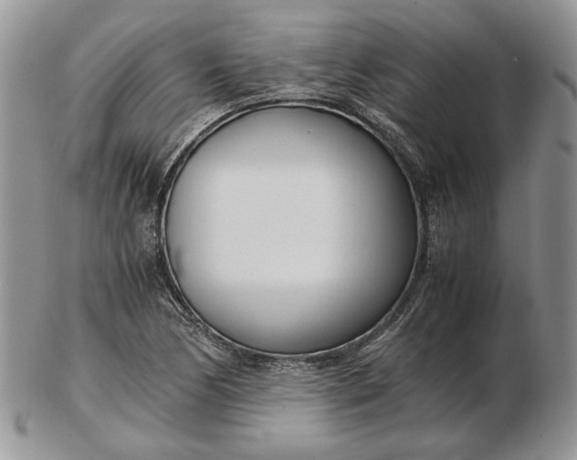 X0000102761170200809021001