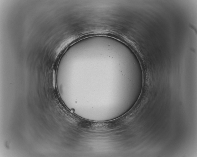 X0000102761171200809021001