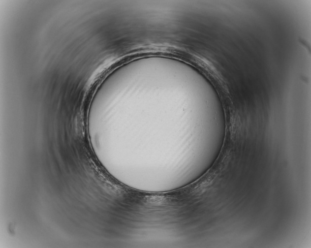 X0000102761172200809021001