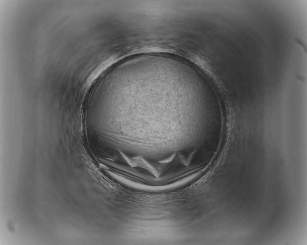 X0000102761173200809021001