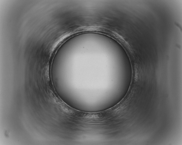 X0000102761174200809021001