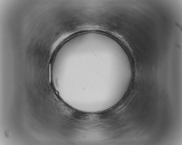 X0000102761175200809021001