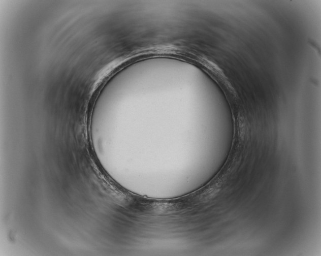 X0000102761176200809021001