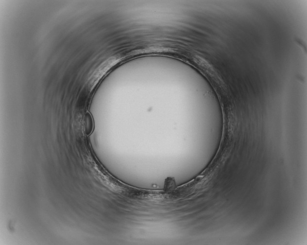 X0000102761177200809021001