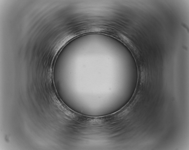 X0000102761178200809021001