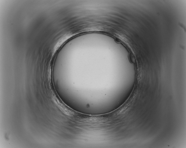 X0000102761179200809021001