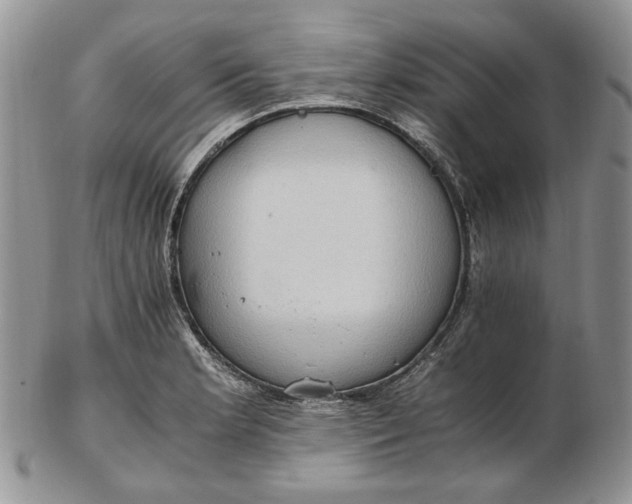 X0000102761181200809021001