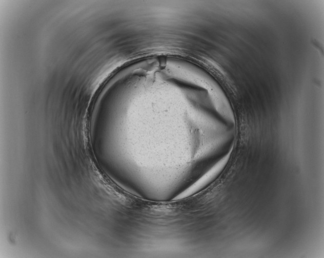 X0000102761182200809021001