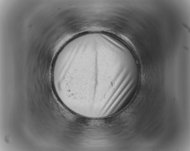 X0000102761183200809021001