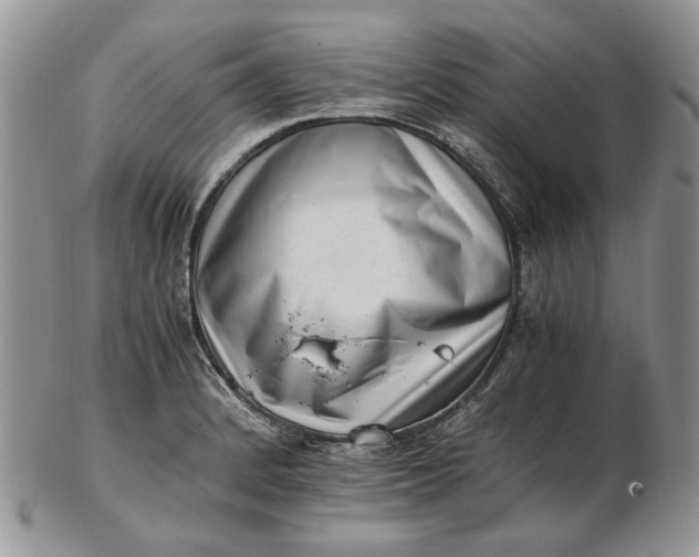 X0000102761184200809021001