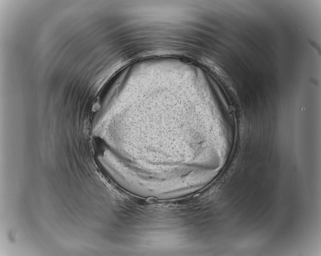 X0000102761185200809021001