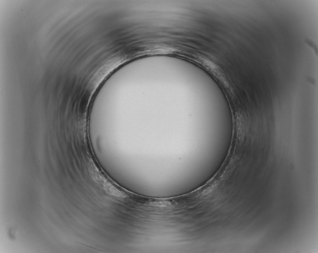 X0000102761186200809021001