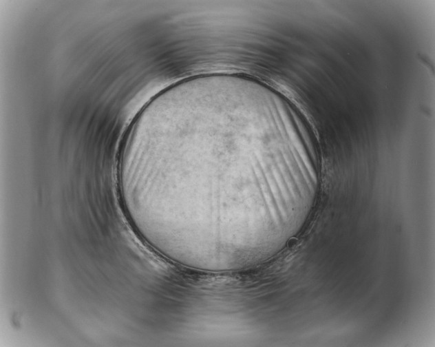 X0000102761187200809021001