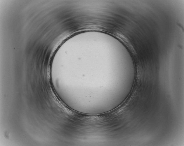 X0000102761188200809021001