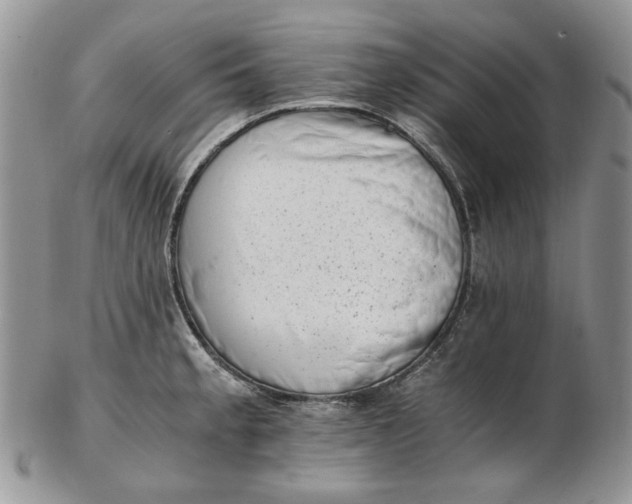 X0000102761189200809021001