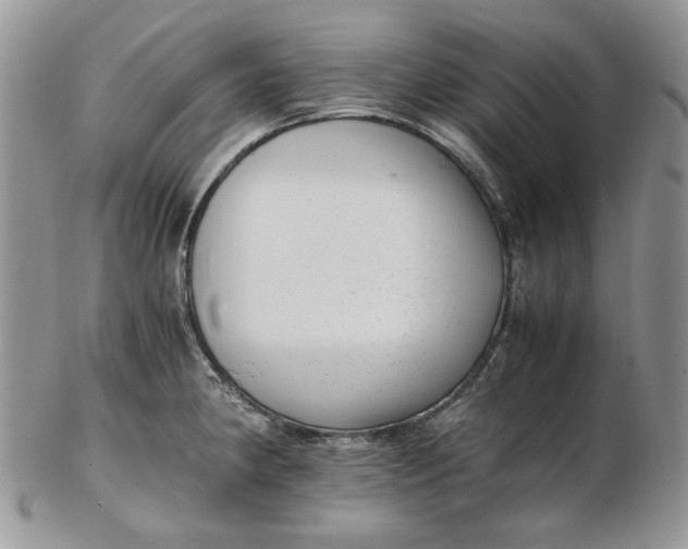 X0000102761190200809021001