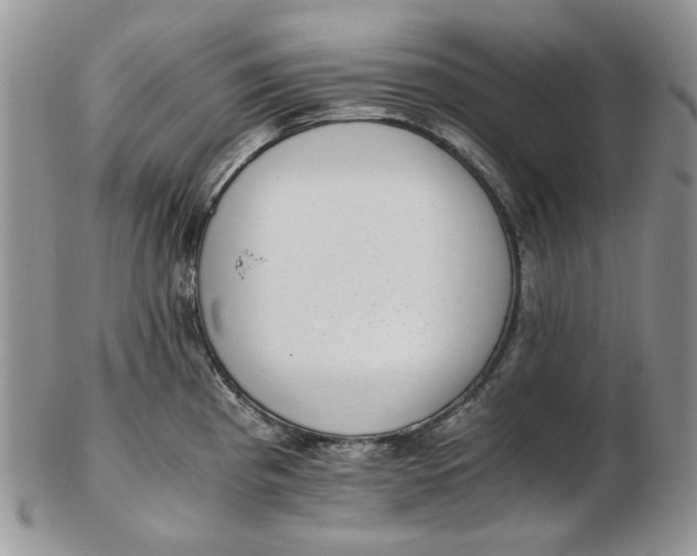 X0000102761193200809021001