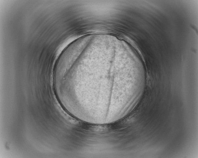 X0000102761195200809021001